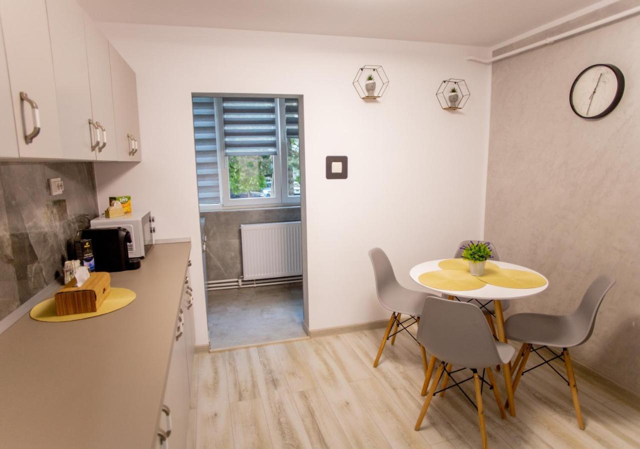 Loghin Residence Suczawa Zewnętrze zdjęcie
