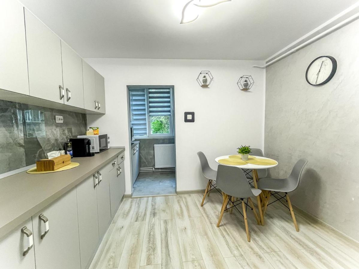 Loghin Residence Suczawa Zewnętrze zdjęcie
